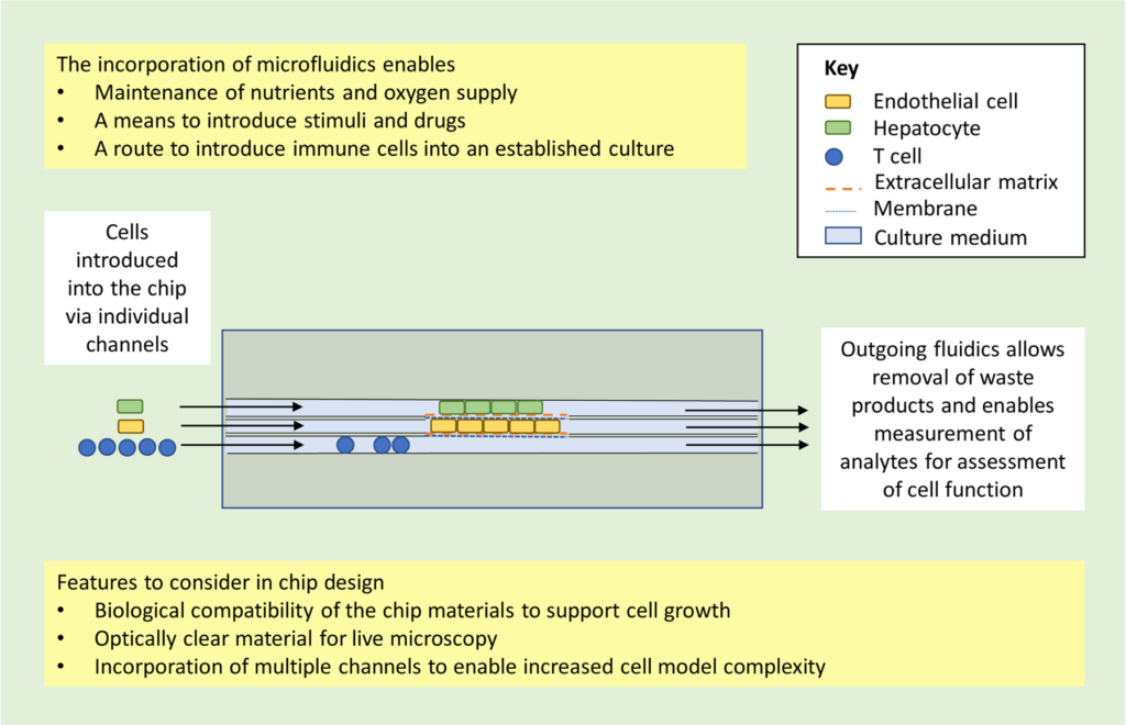 Read more about the article Organ-on-chip applications in drug discovery: an end-user perspective
