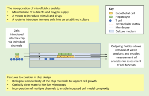 Organ-on-chip-applications-in-drug-discovery