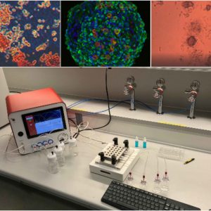 CherryBiotech-cubix-cells-biopsy
