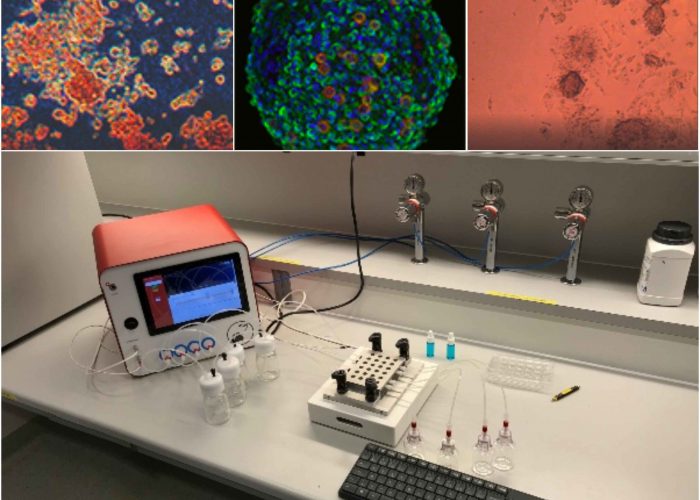 CherryBiotech-cubix-cells-biopsy