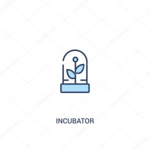 incubator incubator