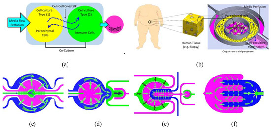 Compartmentalized Microfluidic Perfusion System with Porous Barriers for Enhanced Cell-Cell Crosstalk in Organ-on-a-Chip