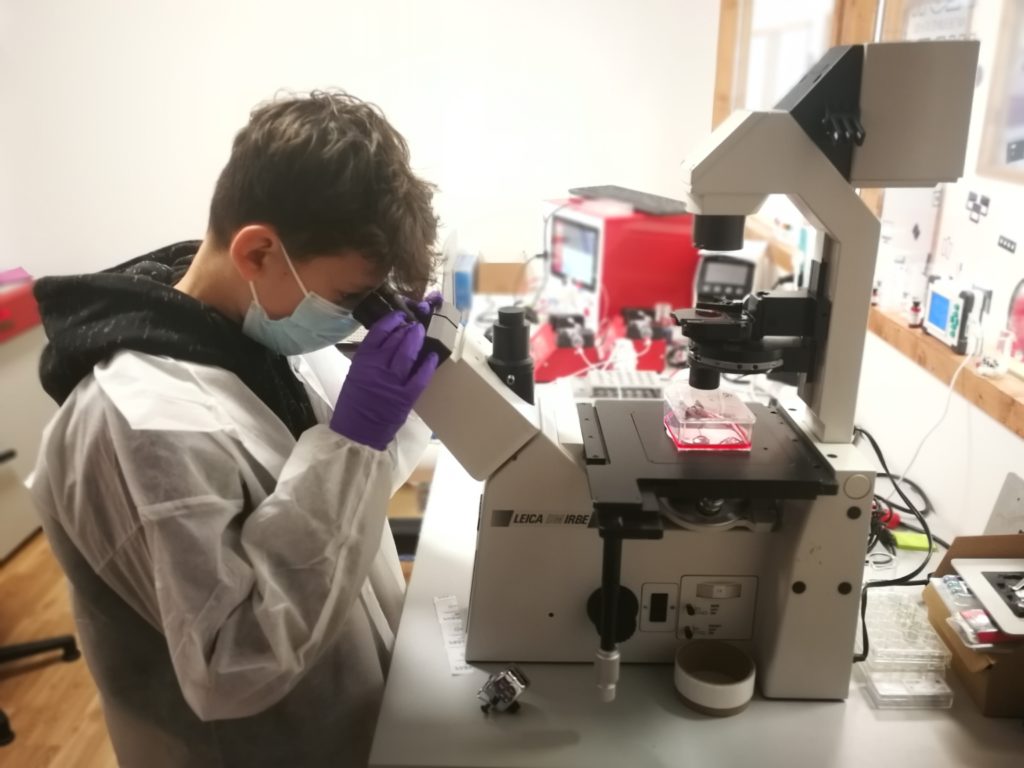 Read more about the article Observation Internship (Stage d’observation) at Cherry Biotech – Lukas Marcel