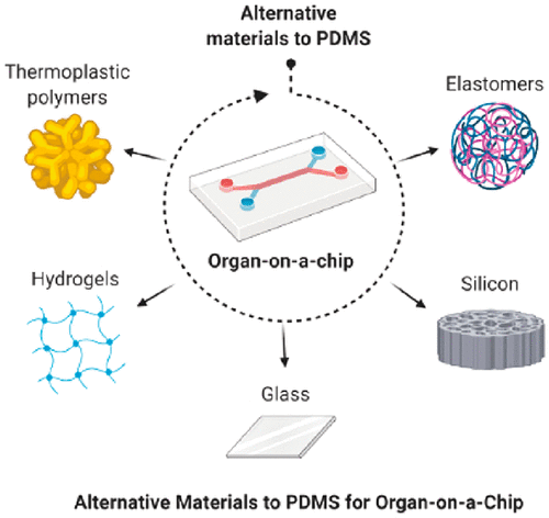 Read more about the article Beyond Polydimethylsiloxane (PDMS): Alternative Materials for Fabrication of Organ-on-a-Chip Devices and Microphysiological Systems