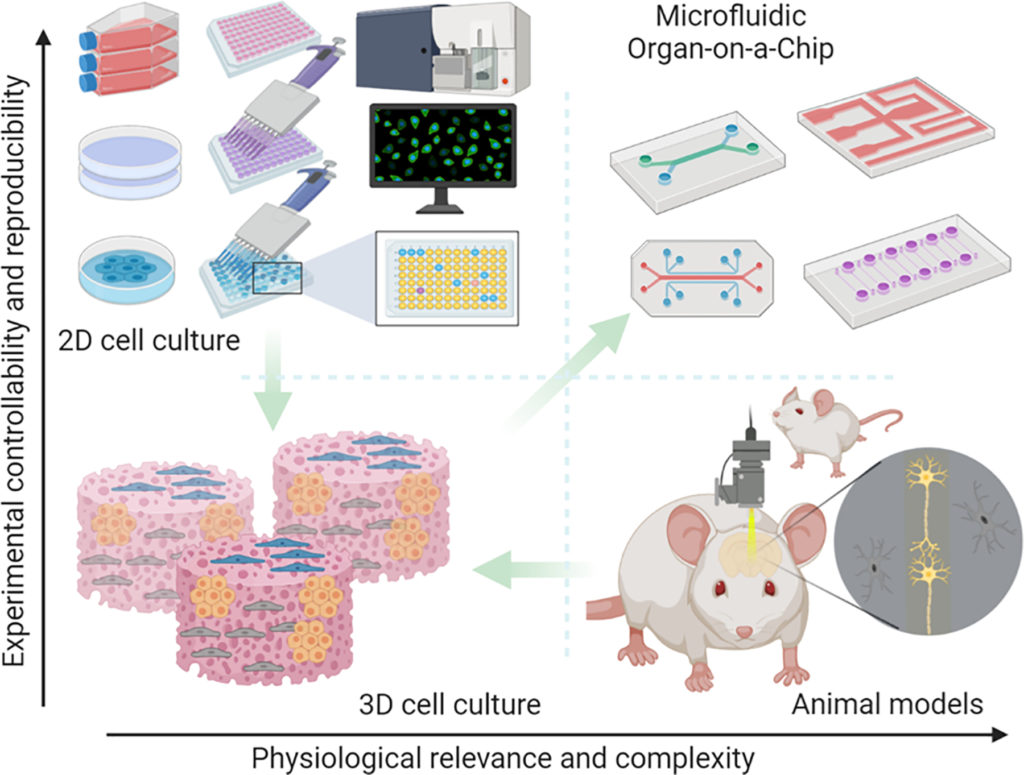 Read more about the article Organ-on-a-Chip: A New Paradigm for Drug Development