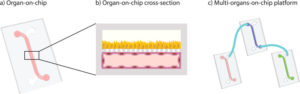 organs-on-chips-by-open-platform