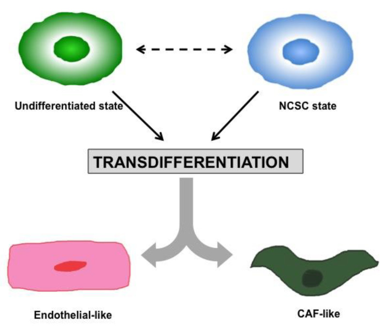 Melanoma-Immunotherapy-and-Precision-Medicine