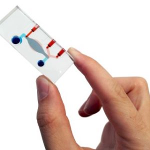 cherry-biotech-chip (Mobile) (1)